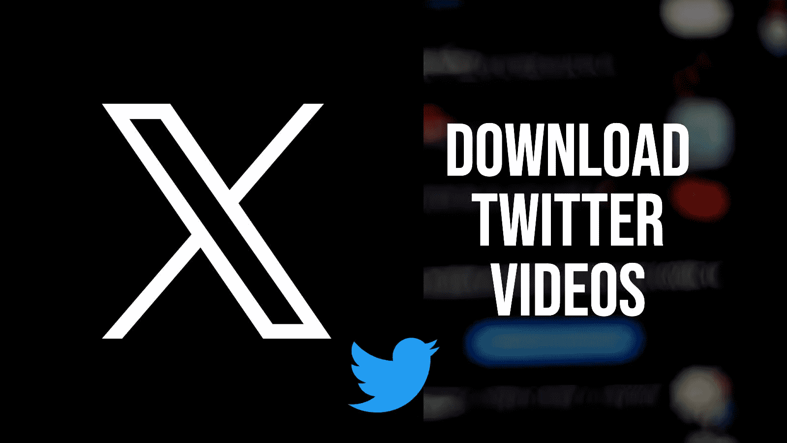 Download X Videos